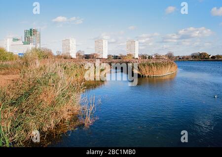 Woodberry Wetlands en automne, près de Stoke Newington, nord de Londres, Royaume-Uni Banque D'Images