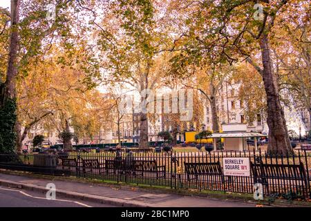 LONDRES- NOVEMBRE 2019: Berkeley Square , une grande place de la ville de Mayfair à l'ouest de Londres Banque D'Images