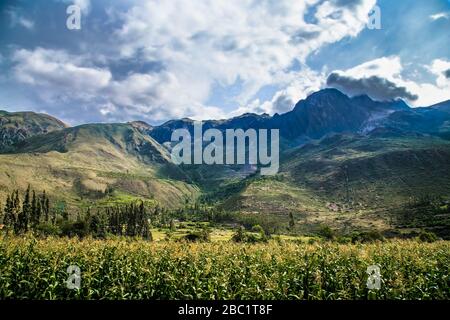 Andes Moutain Range sur le sentier Inca randonnée à Machu Picchu Incan City, vallée sacrée, région de Cusco, Pérou. Banque D'Images