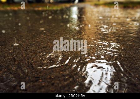 Gros plan d'une grande flaque sous la pluie. Sur la surface des éclaboussures d'eau de chute. Banque D'Images