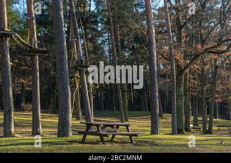 Jardin d'escalade, parcours de cordes dans la forêt avec divers éléments d'escalade et cordes de sécurité entre les arbres individuels et les bancs pour se reposer Banque D'Images