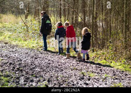 Mère / maman / maman marchant à travers la boue avec ses trois enfants lors d'une journée de printemps sur un chemin boueux à travers les bois sur le West End Common, Esher, Surrey. ROYAUME-UNI (116) Banque D'Images