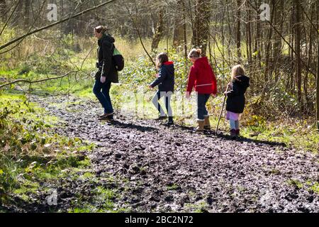 Mère / maman / maman marchant à travers la boue avec ses trois enfants lors d'une journée de printemps sur un chemin boueux à travers les bois sur le West End Common, Esher, Surrey. ROYAUME-UNI (116) Banque D'Images