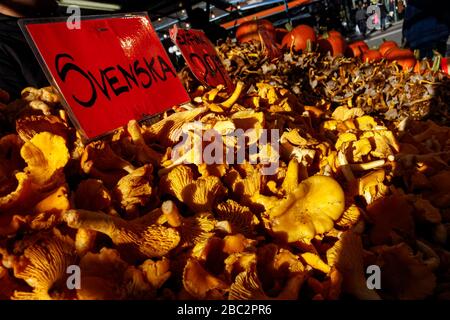 Stockholm, Suède. 23 octobre 2011. Crédit: ABEL F. ROS/Alay Banque D'Images