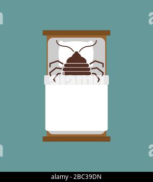 Punaises dans le lit. Illustration vectorielle d'insectes de chinch Illustration de Vecteur