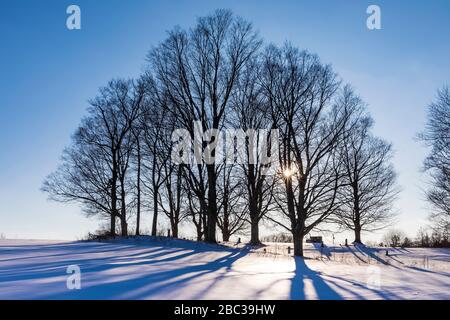 Des ombres longues et tardives traversent un vieux cimetière rural avec de beaux érables et un champ de ferme Amish dans le centre du Michigan, aux États-Unis Banque D'Images