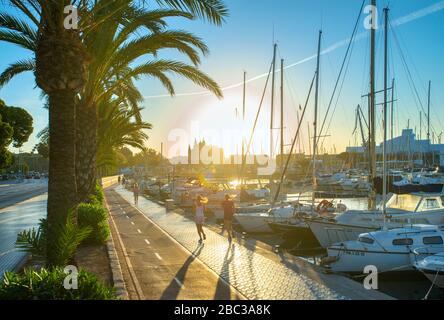 Joggers le long de la piste cyclable de Sunrise Paseo Maritimo avec port et cathédrale, Palma de Majorque, Baléares, Espagne Banque D'Images