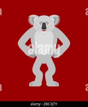 Koala en colère. koala ours mal. Bête agressive. Illustration vectorielle Illustration de Vecteur