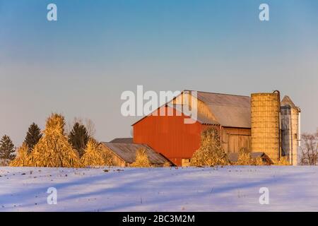 Grange Amish et silos avec chocs de maïs, centre du Michigan le jour de l'hiver enneigé, États-Unis [pas de mainlevée de propriété; disponible pour licence éditoriale seulement] Banque D'Images