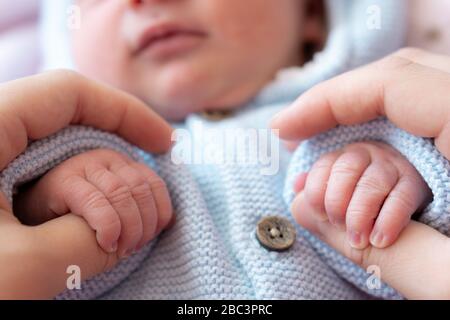 Mains d'un nouveau-né et de sa mère ensemble. La maman rapprochée tient les mains d'un nouveau-né. Bébé nouveau-né tient les pouces de maman avec ses mains. Banque D'Images