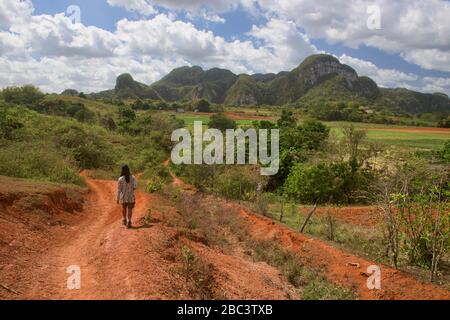 Magnifique paysage de mogote dans la vallée de Viñales, Cuba Banque D'Images