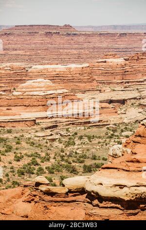 Des couches de grès rouge et blanc forment le Maze dans Canyonlands Utah Banque D'Images