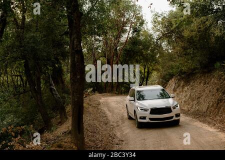 Voiture traversant la forêt de Big sur Banque D'Images