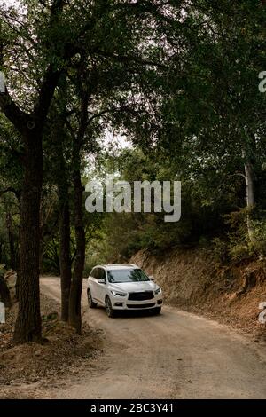 Voiture traversant la forêt de Big sur Banque D'Images