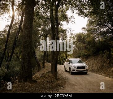 Voiture traversant la forêt de Big sur Banque D'Images