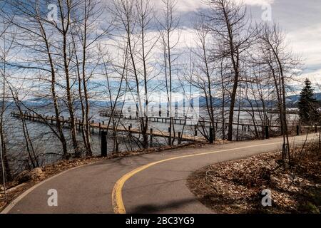 Arbres et jetées sur le côté de la route du lac Tahoe Banque D'Images