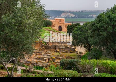 Ruines romaines encadrées par des arbres à Chellah à Rabat au Maroc Banque D'Images