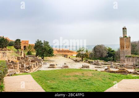 Ruines romaines à côté des ruines d'une mosquée à Chellah, au Maroc de Rabat Banque D'Images