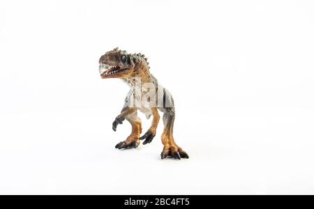 Allosaurus, dinosaure sur fond blanc Banque D'Images