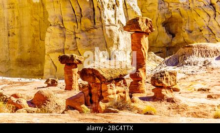 Toadcowet Hoooooooooos sur le fond des montagnes de grès colorées sur la piste de randonnée de Toadcowet dans le Grand escalier-Escalante Monument USA Banque D'Images