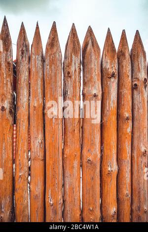Pics vifs sur une clôture en bois. Texture des malles en bois. Banque D'Images