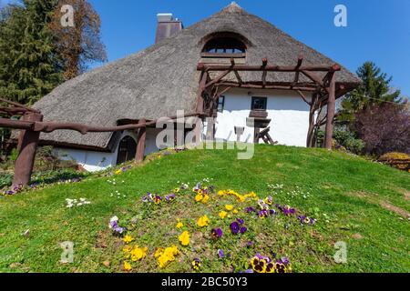 Maison rurale traditionnelle avec un toit de chaume dans la région de Podravina De Croatie (PRC) - Restaurant Podravska klet sur PRC Banque D'Images