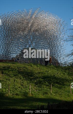 The Hive installation Pavilion by Wolfgang Btress BDP Architects Simmonds Studio at Royal Botanic Gardens Kew Gardens, Richmond, Londres, Banque D'Images