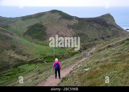 Lone Woman Hiker se descendant jusqu'à la vallée du Shute de Tidna avec le point Sharpnose supérieur en avance sur le sentier côtier du sud-ouest, North Cornwall, Angleterre, Royaume-Uni. Banque D'Images
