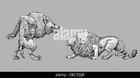 Illustration de monstre loup-garou. Comparaison de l'anatomie du lion et du loup-garou. Dessin fantaisie. Banque D'Images