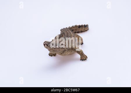 jouet crocodile isolé devant un fond blanc Banque D'Images