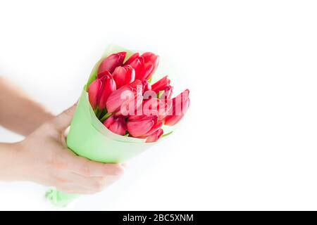 Main du Mans tenant bouquet de tulipes fleurs sur fond blanc Banque D'Images