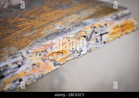 Conception de briques et mur en pierre - vue rapprochée dans les bâtiments historiques de Trieste Banque D'Images