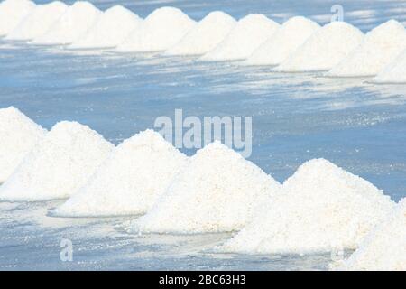 Beaucoup de sel dans le champ de sel de Samut sakhon, Thaïlande Banque D'Images