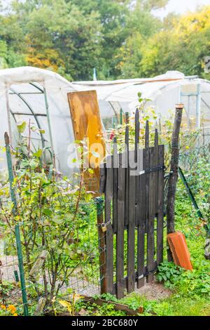 Jardin surcultivé à la maison abandonnée. Les personnes utilisent des déchets volumineux pour séparer les compartiments du jardin. Banque D'Images