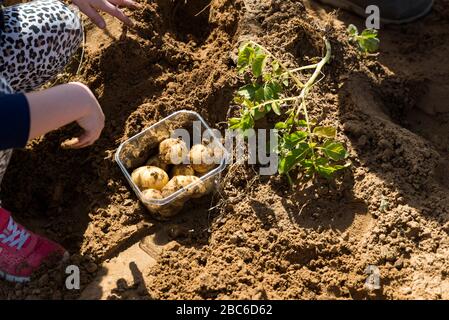 Au sentier Salad dans le sud d'Israël Banque D'Images