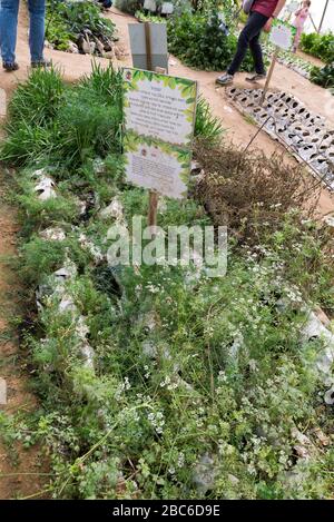 Au sentier Salad dans le sud d'Israël Banque D'Images