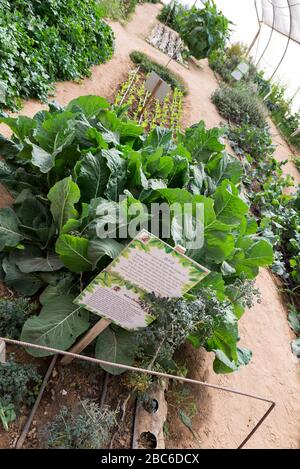 Au sentier Salad dans le sud d'Israël Banque D'Images