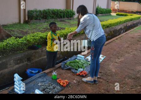 LILONGWE, MALAWI, AFRIQUE - 2 AVRIL 2018 : un petit garçon malawian africain vend des tomatos, du poisson et des feuilles vertes le long de la route. Garçon prend du di Banque D'Images