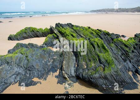 Côte entre Vila Nova de Milfontes et Zambujeira do Mar, Portugal Banque D'Images