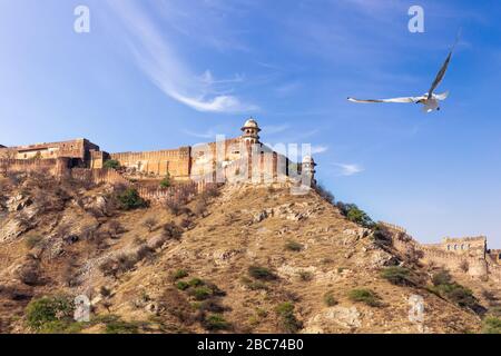 Fort Jaigarh sur la colline, Inde, Rajasthan, Jaipur Banque D'Images