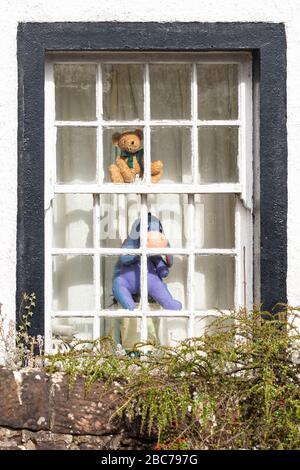 Ours en peluche dans une fenêtre dans le cadre de la chasse à l'ours pour les enfants dans un village de Stirlingshire pendant la pandémie de coronavirus Banque D'Images