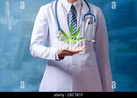 médecin tenant la main avec du cannabis Banque D'Images