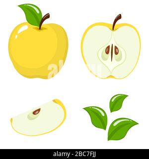 Ensemble de fruits de pomme frais entiers, demi, coupés et feuilles jaunes isolés sur fond blanc. Fruits d'été pour un style de vie sain. Fruits biologiques. CA Illustration de Vecteur