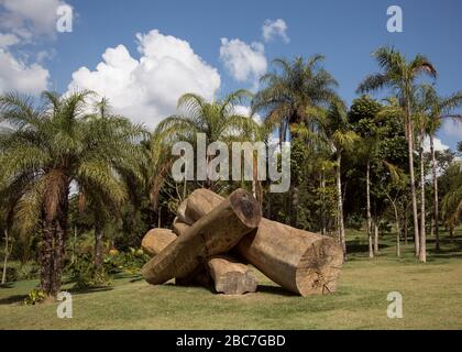 Les arbres forment de l'art à Inhotim l'Institut d'art contemporain et les jardins botaniques de l'État de Minas Gerais, Brésil Banque D'Images