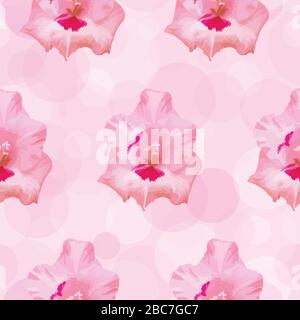 Motif transparent à vecteur de fleur Gladiolus. Illustration de Vecteur