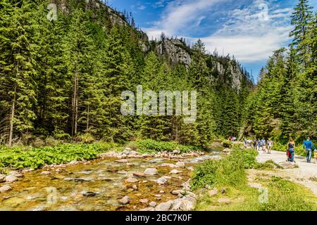 Les habitants de la vallée de Kościeliska dans le parc national de Tatra Mountain, près de Zakopane, Pologne. Juillet 2017. Banque D'Images