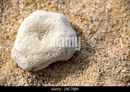 Corail sur la plage, Puka Shell Beach, île de Boracay, Philippines. Banque D'Images