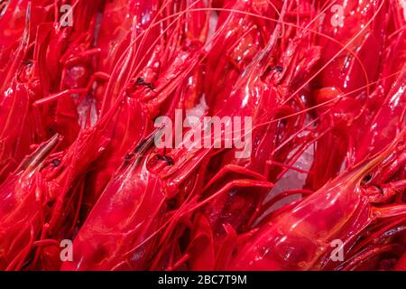 Les crevettes rouges sont en vente sur la glace sur le marché local Banque D'Images