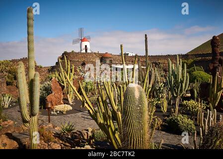 Le jardin de Cactus à Guatiza sur Lanzarote constitué par César Manrique. Banque D'Images