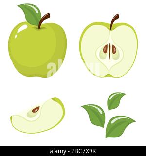 Ensemble de fruits de pomme frais entiers, demi, coupés et feuilles de fruits de pomme verts isolés sur fond blanc. Fruits d'été pour un style de vie sain. Fruits biologiques. Voiture Illustration de Vecteur